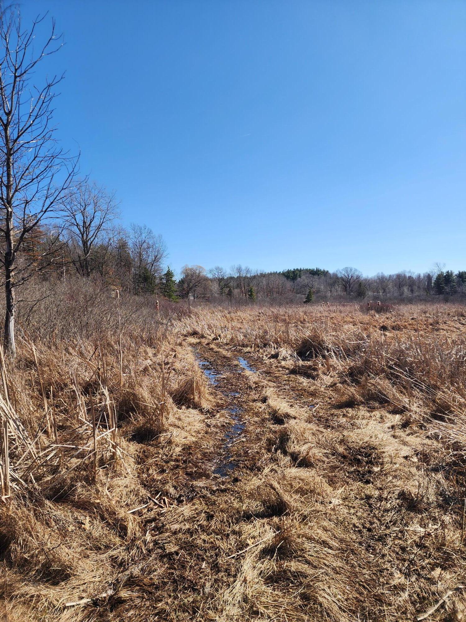 12 12 Mile Road Ceresco, MI 49033 - Photo 4 of 6 20260309_143034