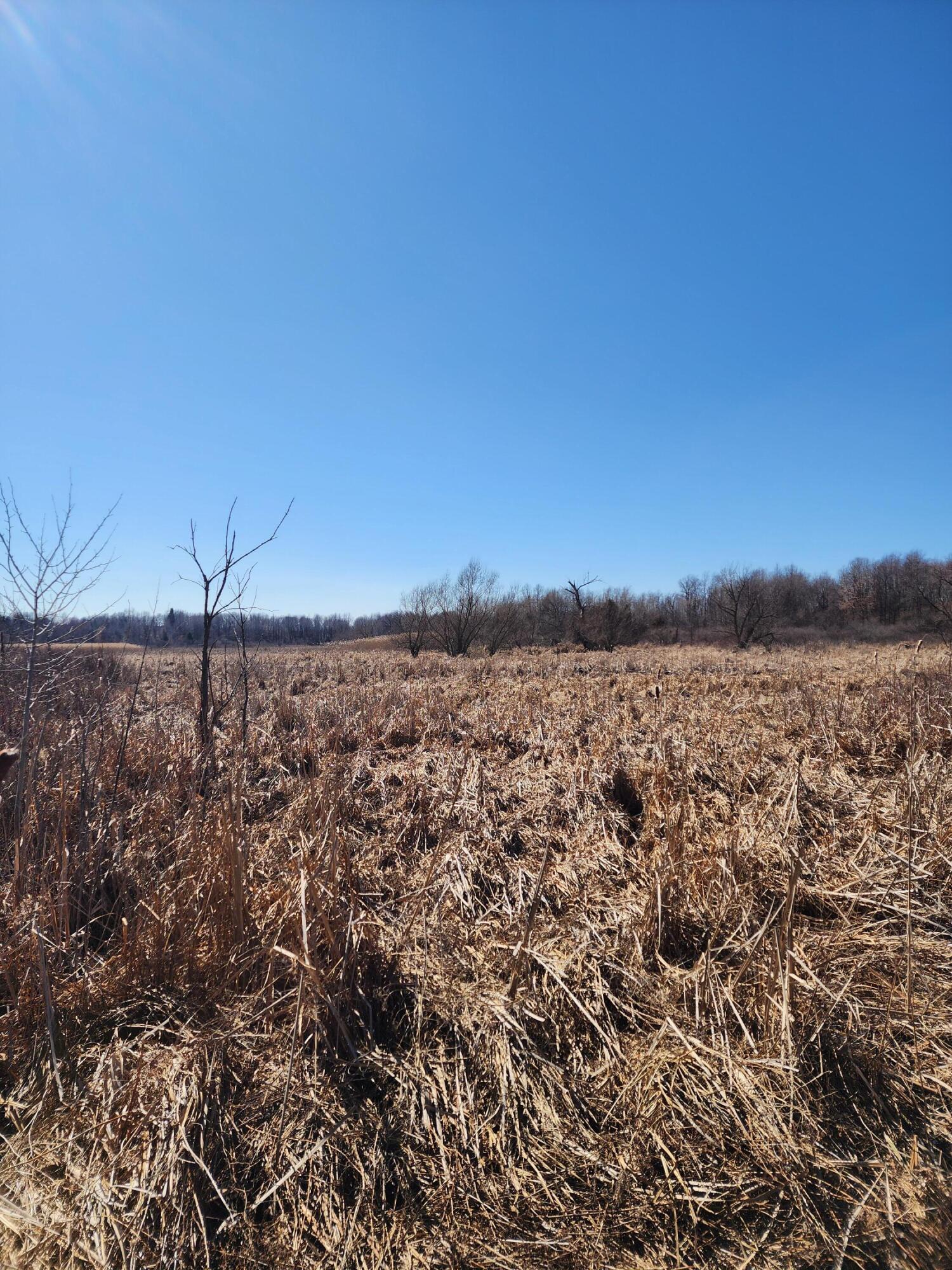 12 12 Mile Road Ceresco, MI 49033 - Photo 5 of 6 20260309_142846