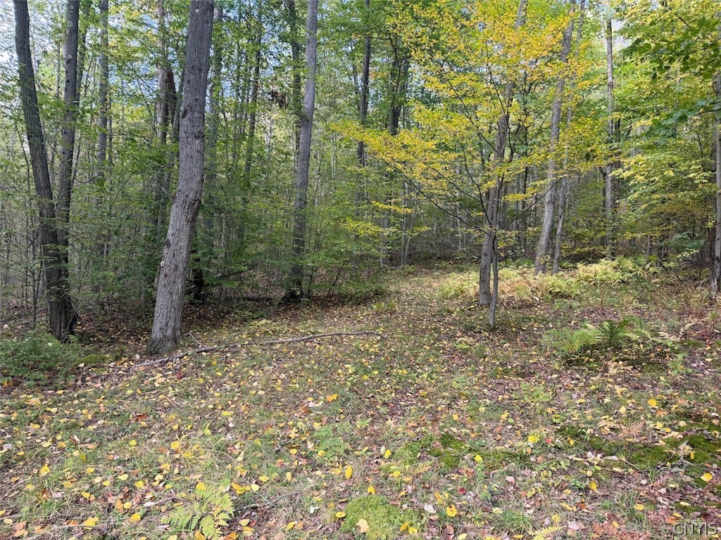 Bent Dipper Road Ceres, NY 14721 - Photo 19 of 27 Gallery Image 19