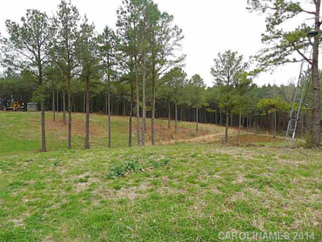 0 Molly Road Norwood, NC 28128 - Photo 14 of 16 Gallery Image 14