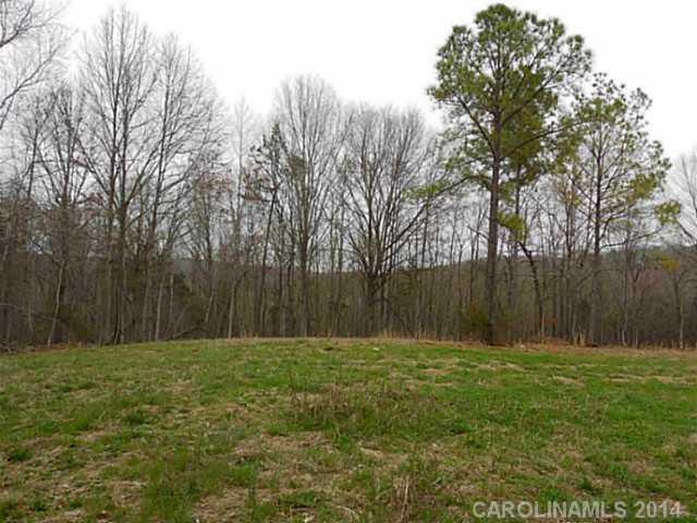 0 Molly Road Norwood, NC 28128 - Photo 8 of 16 Gallery Image 8