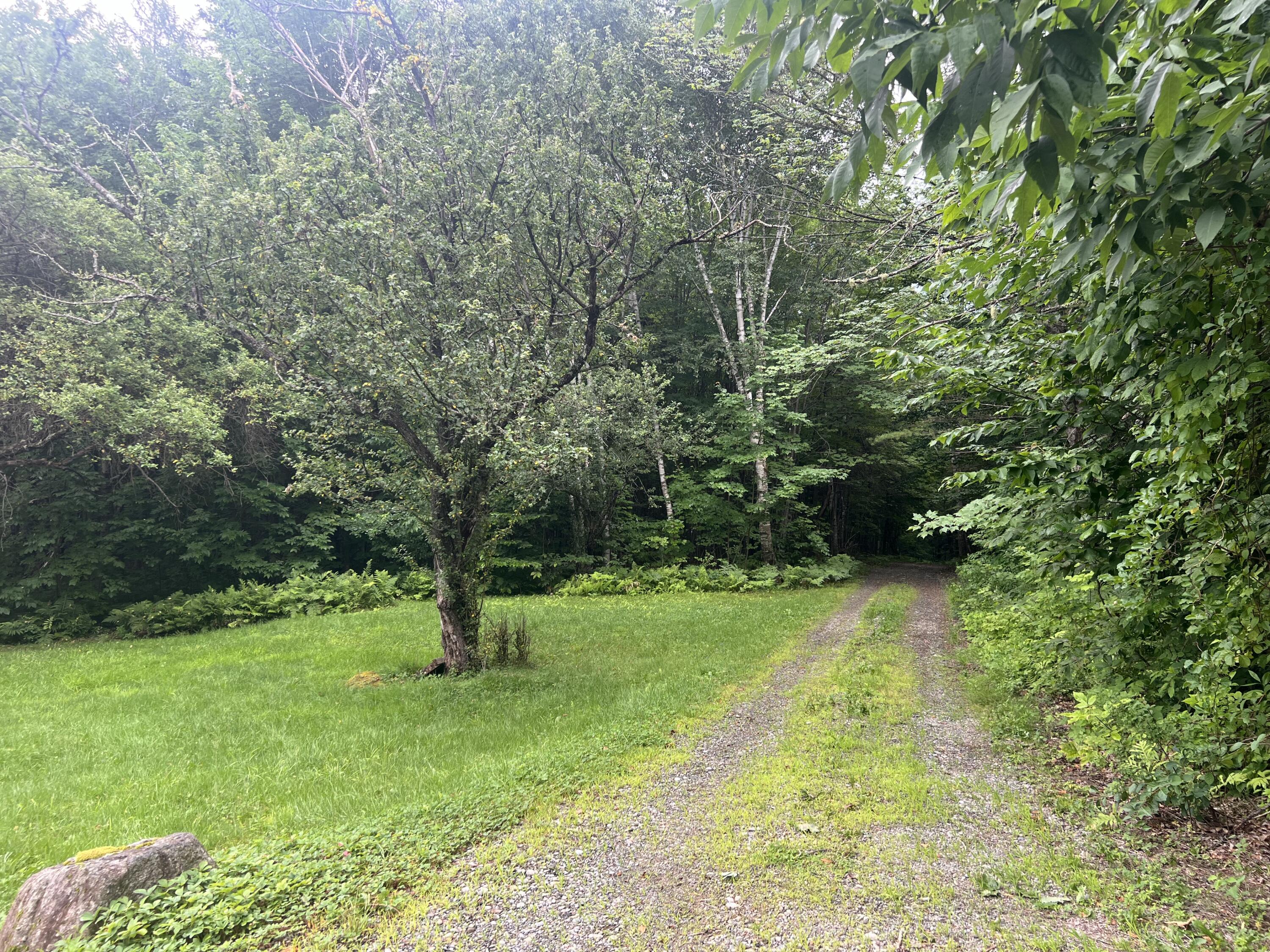 811 Bog Road New Portland, ME 04961 - Photo 19 of 32 Driveway View