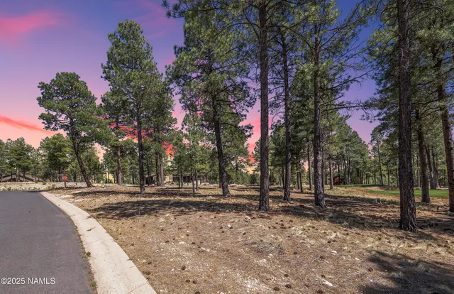 $899,000 | 1999 East Iron Horse Court, Flagstaff, AZ 86005