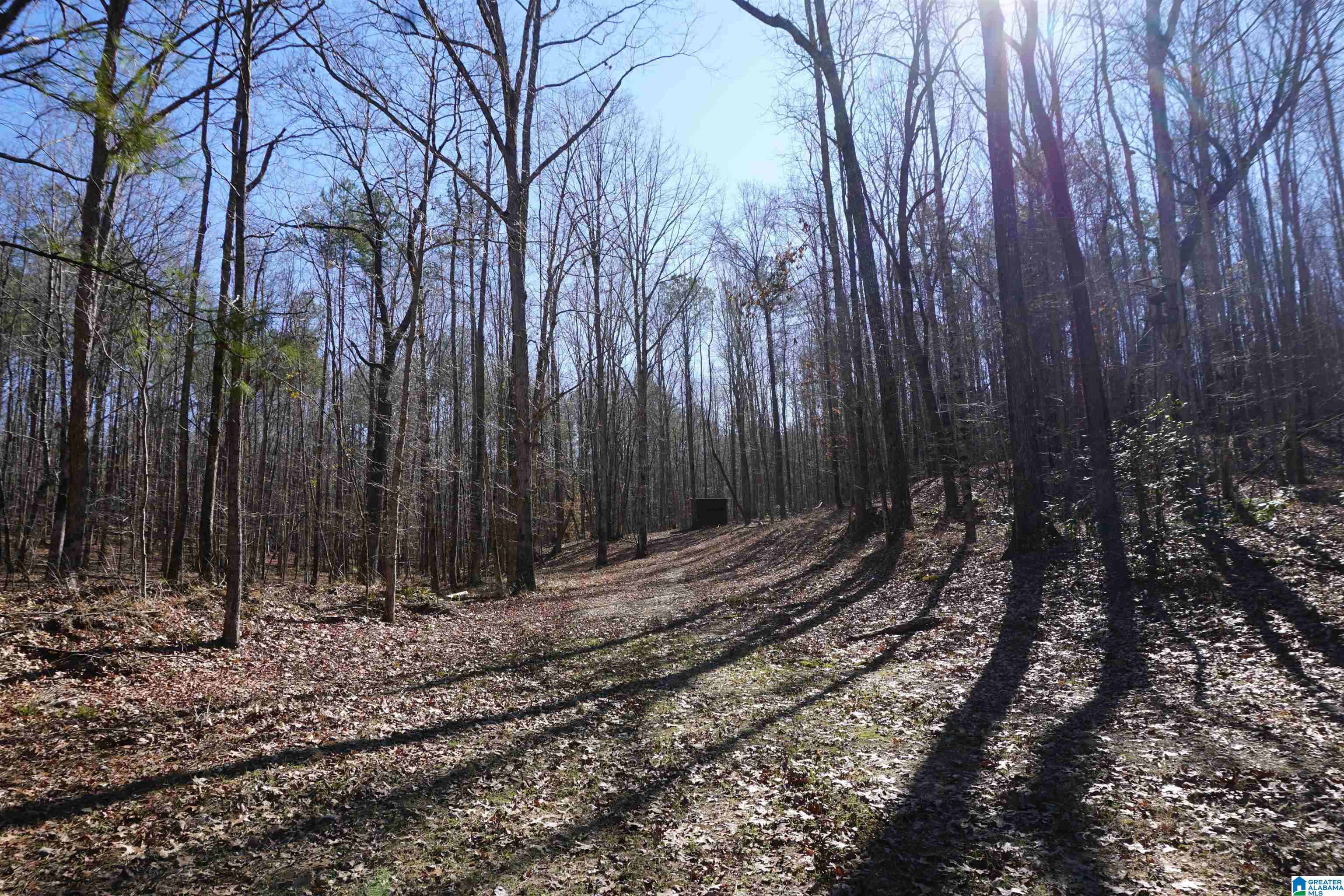 6171 Highway 102, Unit 1 Fayette, AL 35555 - Photo 52 of 68