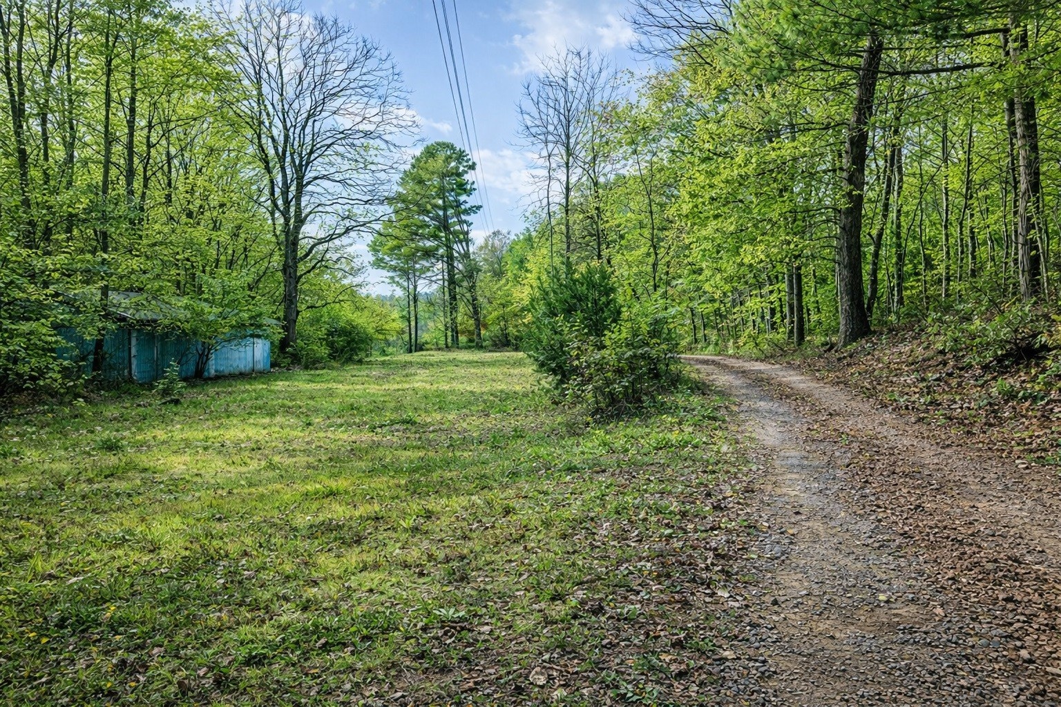 1135 West Mink Branch Road Waynesboro, TN 38485 - Photo 62 of 83