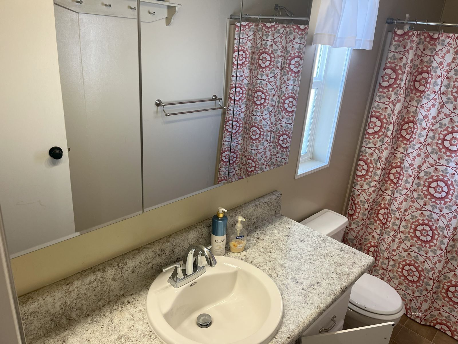 3433 Smith Canyon Road Ruby Valley, NV 89833 - Photo 28 of 37 a bathroom with a sink and a mirror