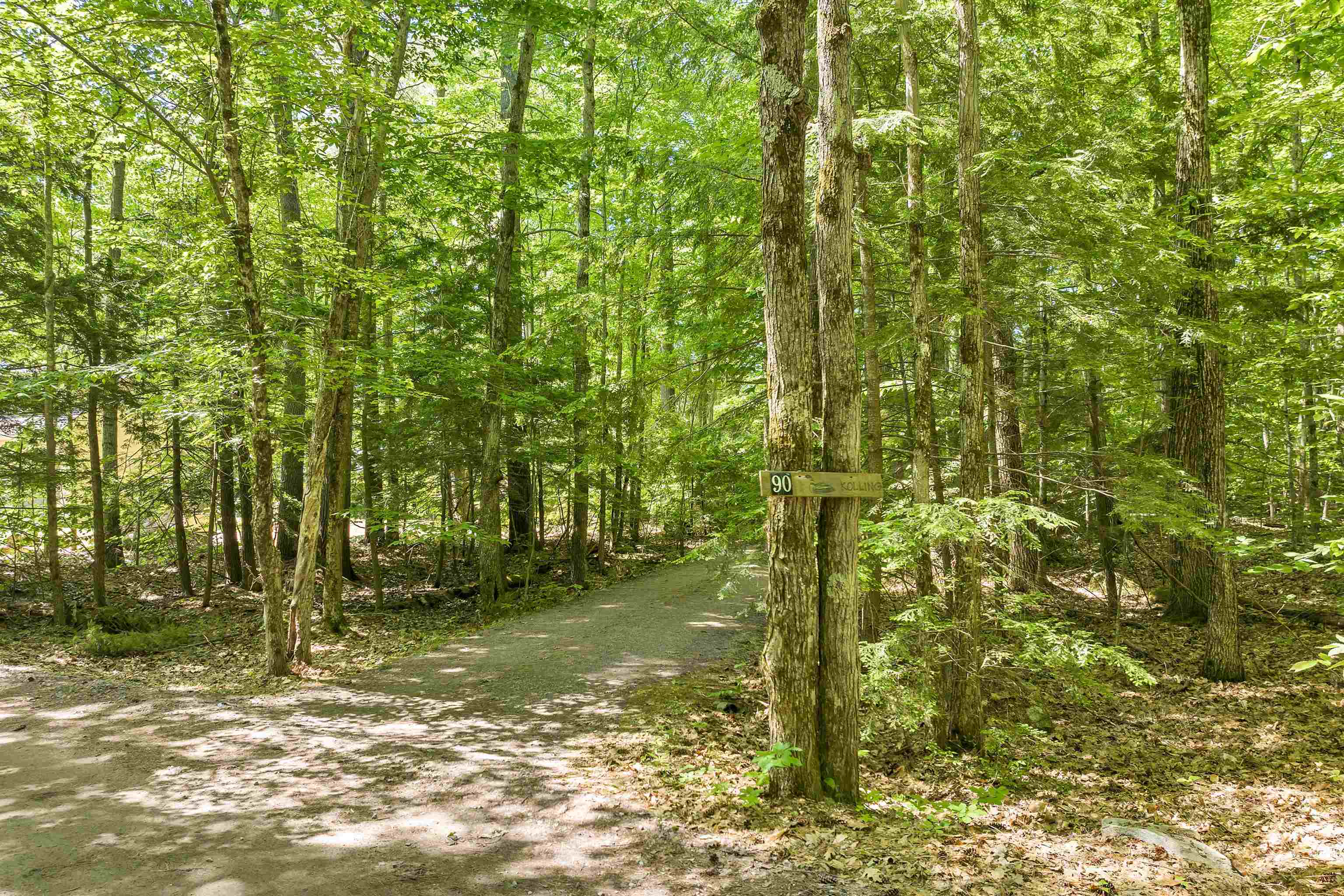 90 Bartlett Landing Road Moultonborough, NH 03254 - Photo 3 of 26