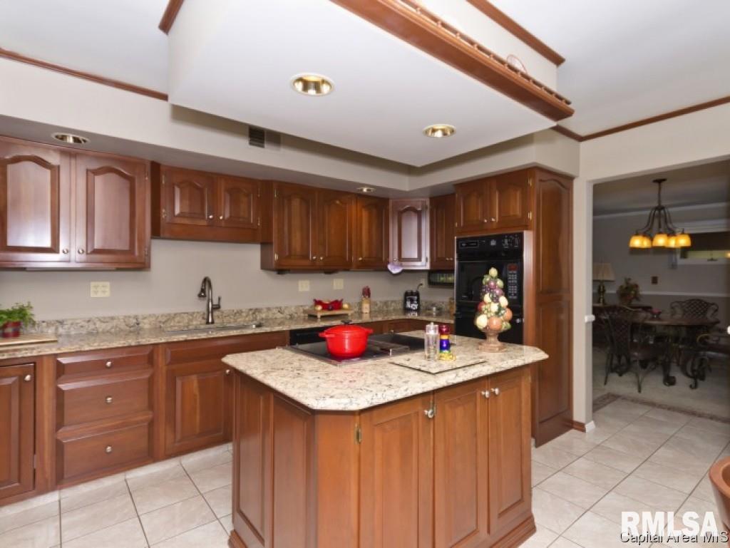 36 Maple Grove Lane Springfield, IL 62712 - Photo 5 of 22