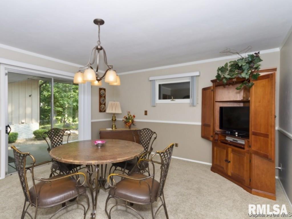 36 Maple Grove Lane Springfield, IL 62712 - Photo 8 of 22