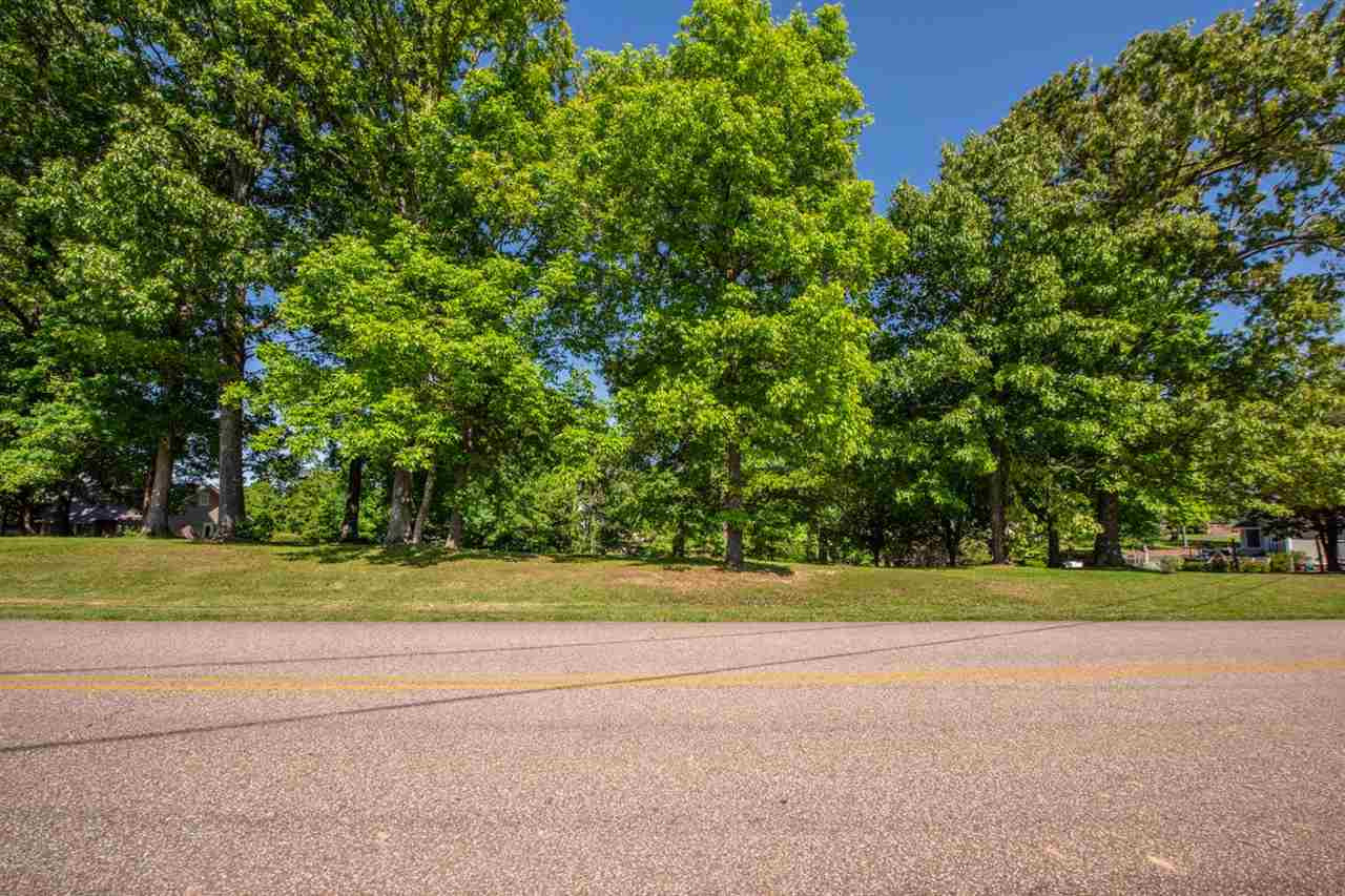Old Huntingdon Road Lexington, TN 38351 - Photo 7 of 9 Photo 7