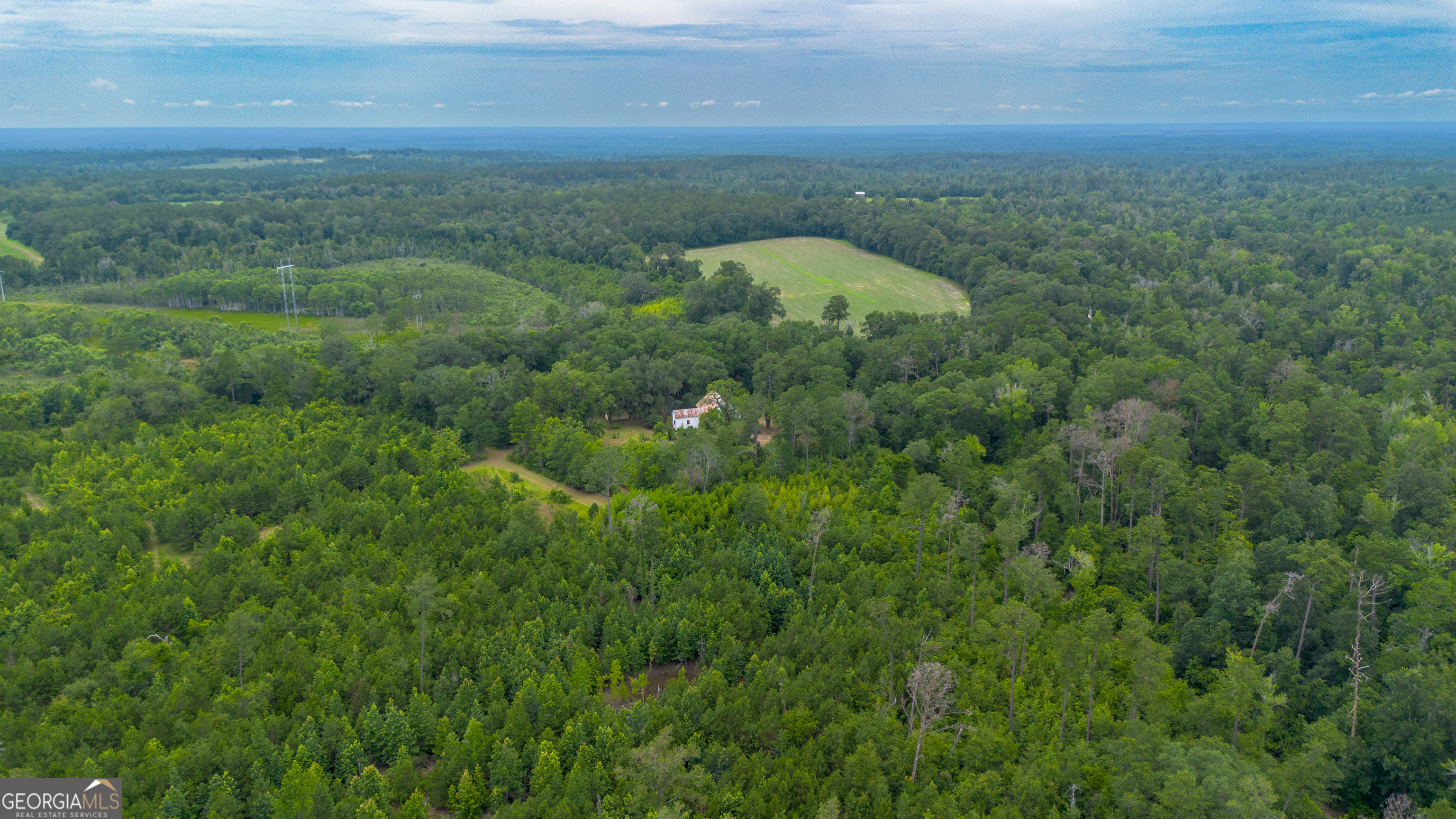 276 Mclauglin Road Bainbridge, GA 39819 - Photo 6 of 89 Gallery Image 6