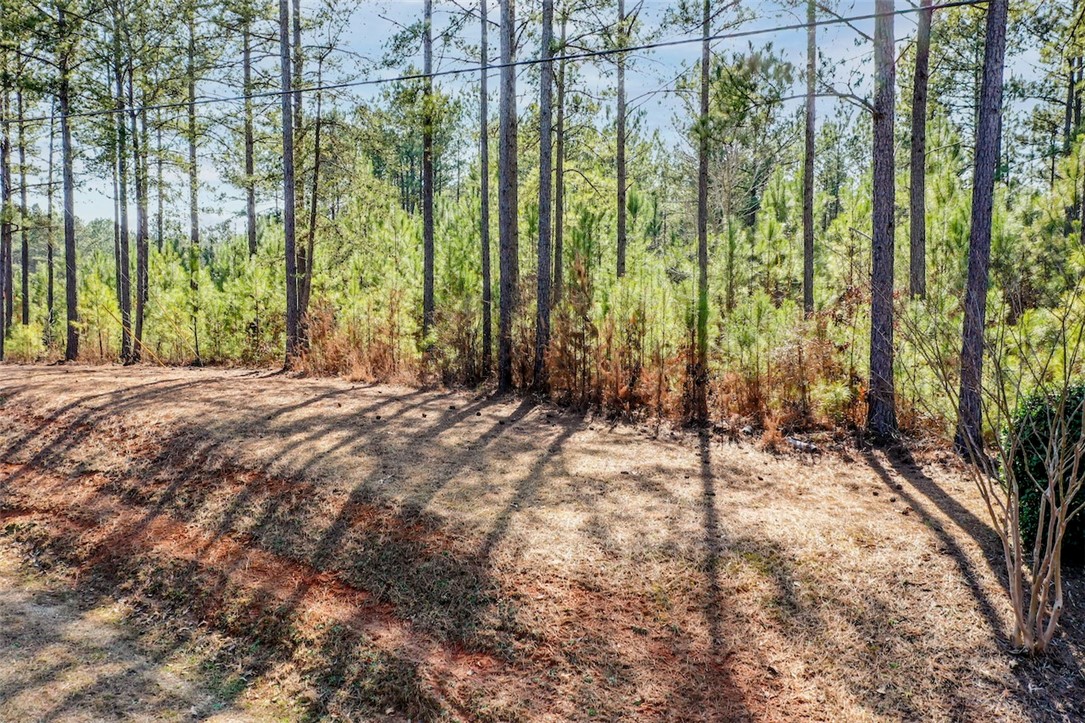 Lot 128 McAlister Road West Union, SC 29696 - Photo 4 of 34 Gallery Image 4