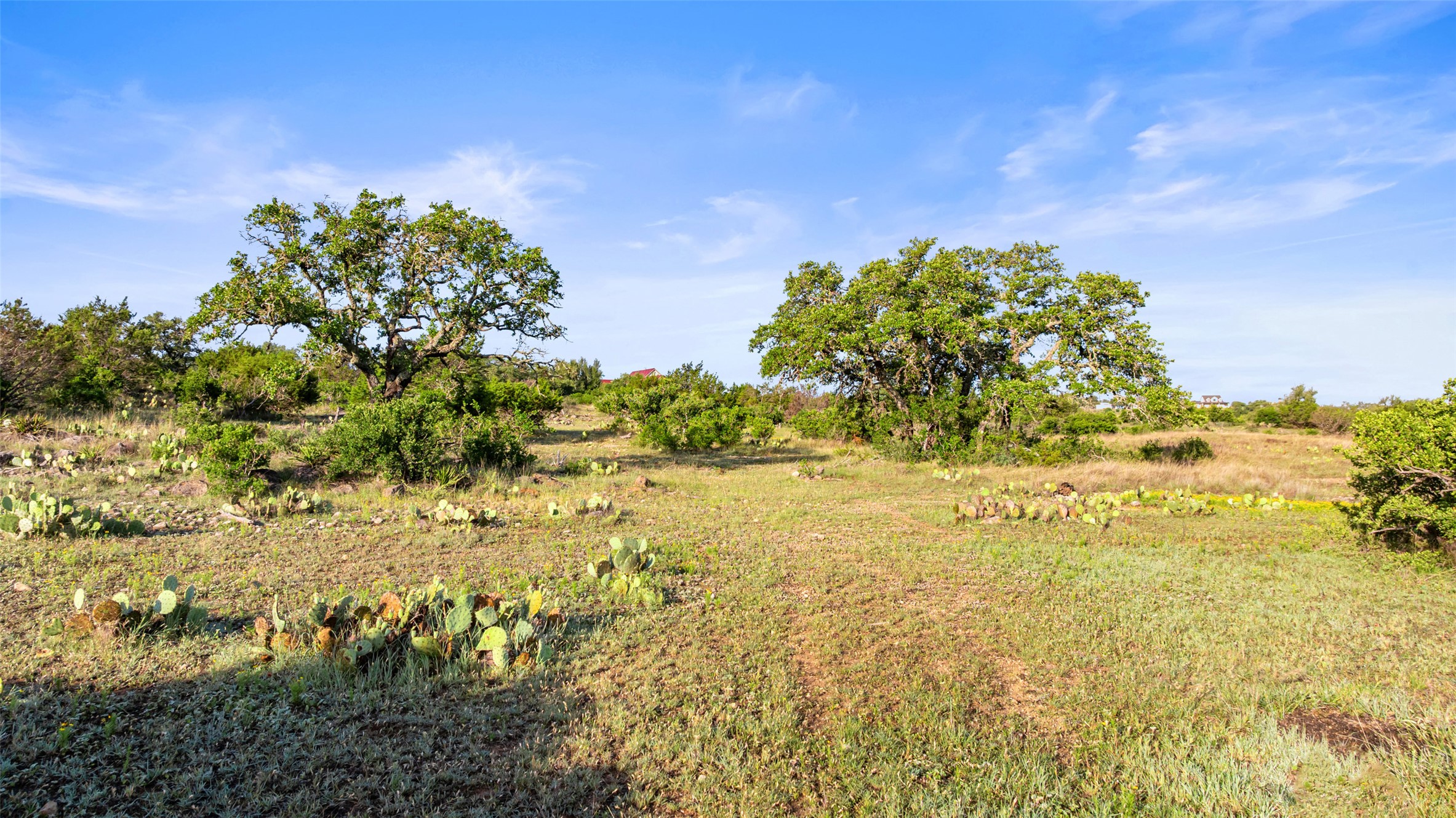 Lot 3 Vista Rdg Drive Round Mountain, TX 78663 - Photo 9 of 15 View of nature