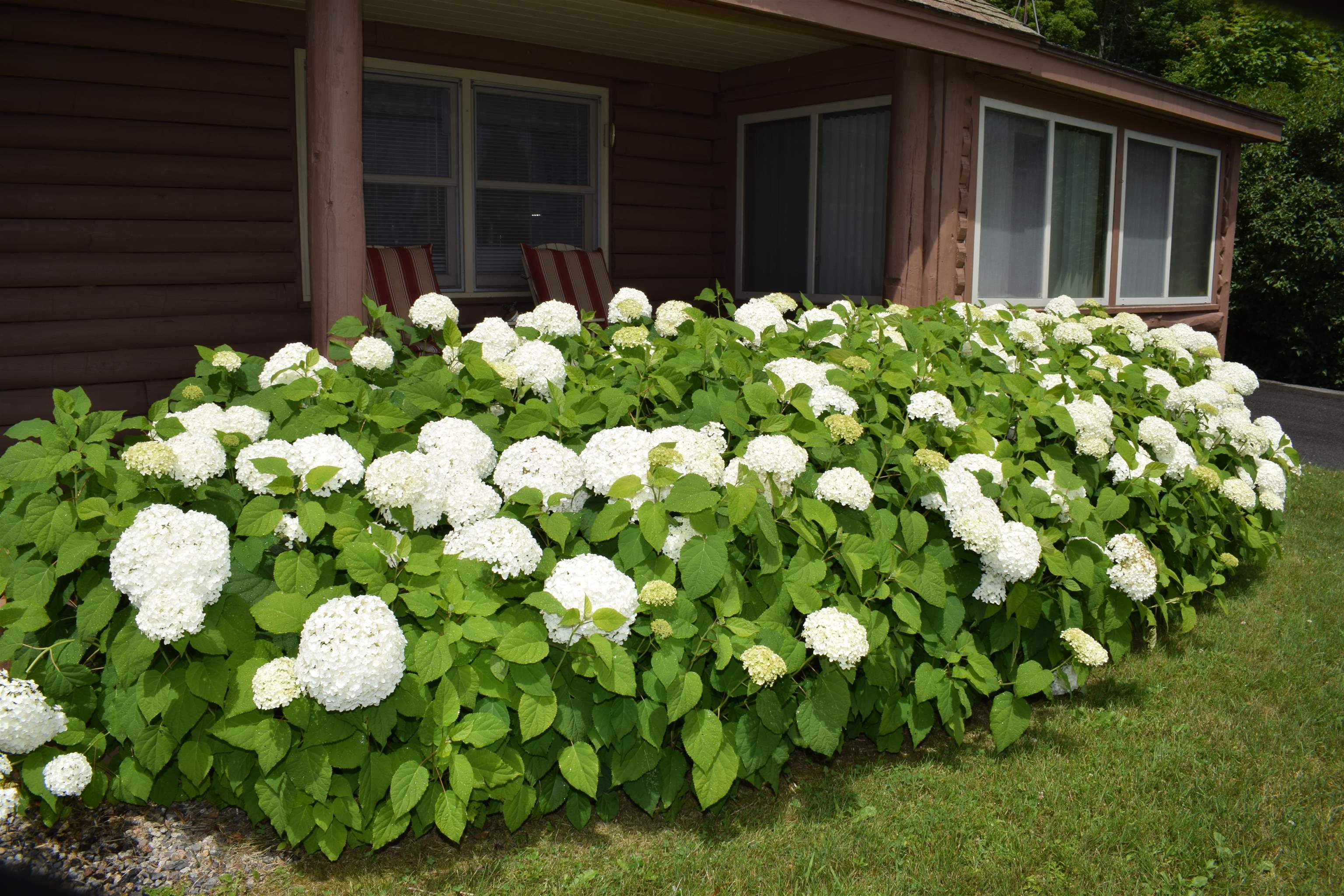 2155 Fellows Road Guildhall, VT 05905 - Photo 7 of 43 Gallery Image 7