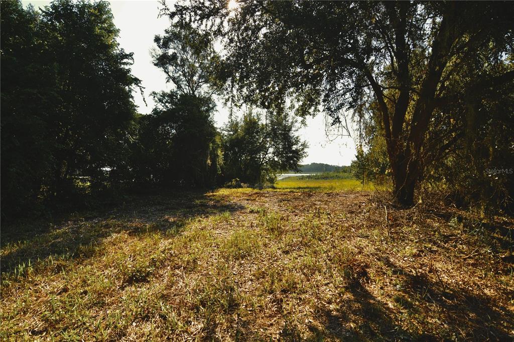 0 Hall Lake Road Keystone Heights, FL 32656 - Photo 22 of 39 Gallery Image 22
