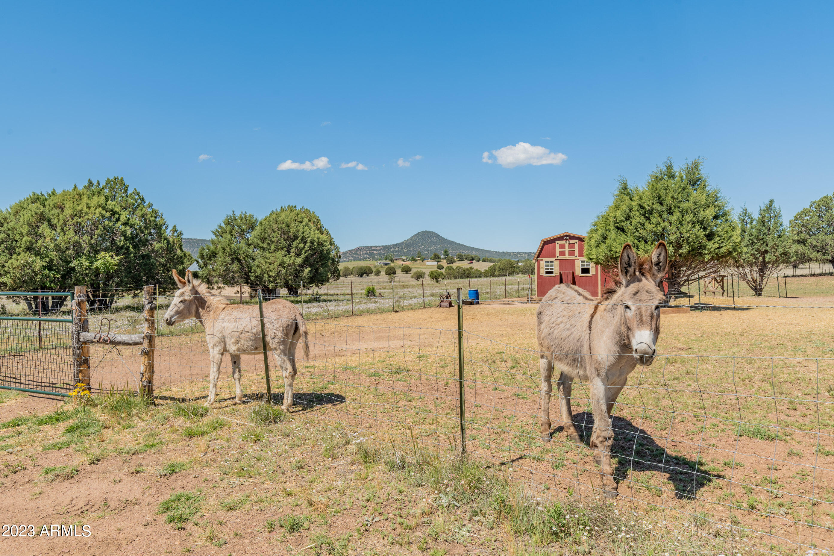 87 Mail Trail Road Young, AZ 85554 - Photo 8 of 120 Pasture