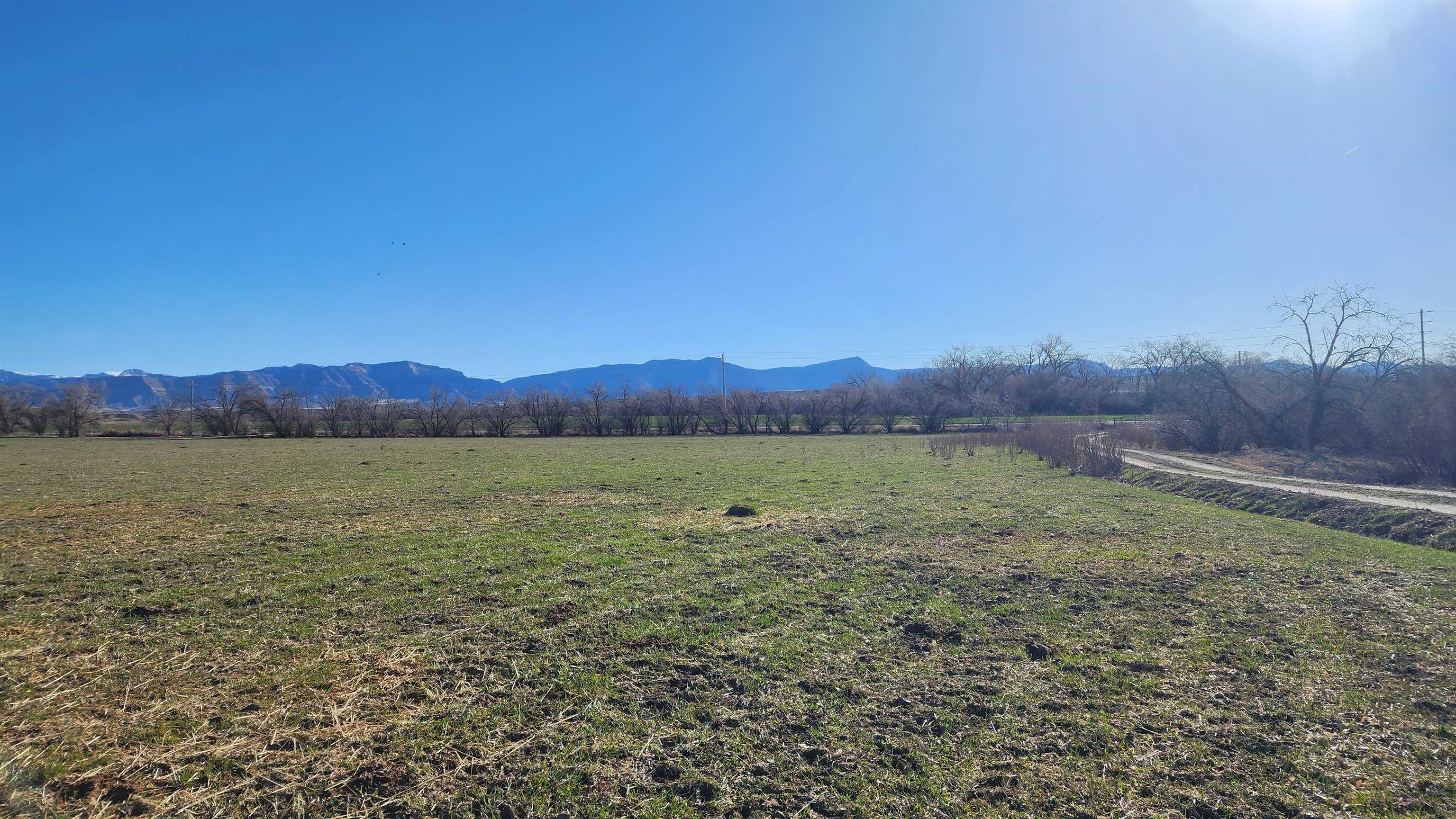 1585 19 Road Fruita, CO 81521 - Photo 3 of 9