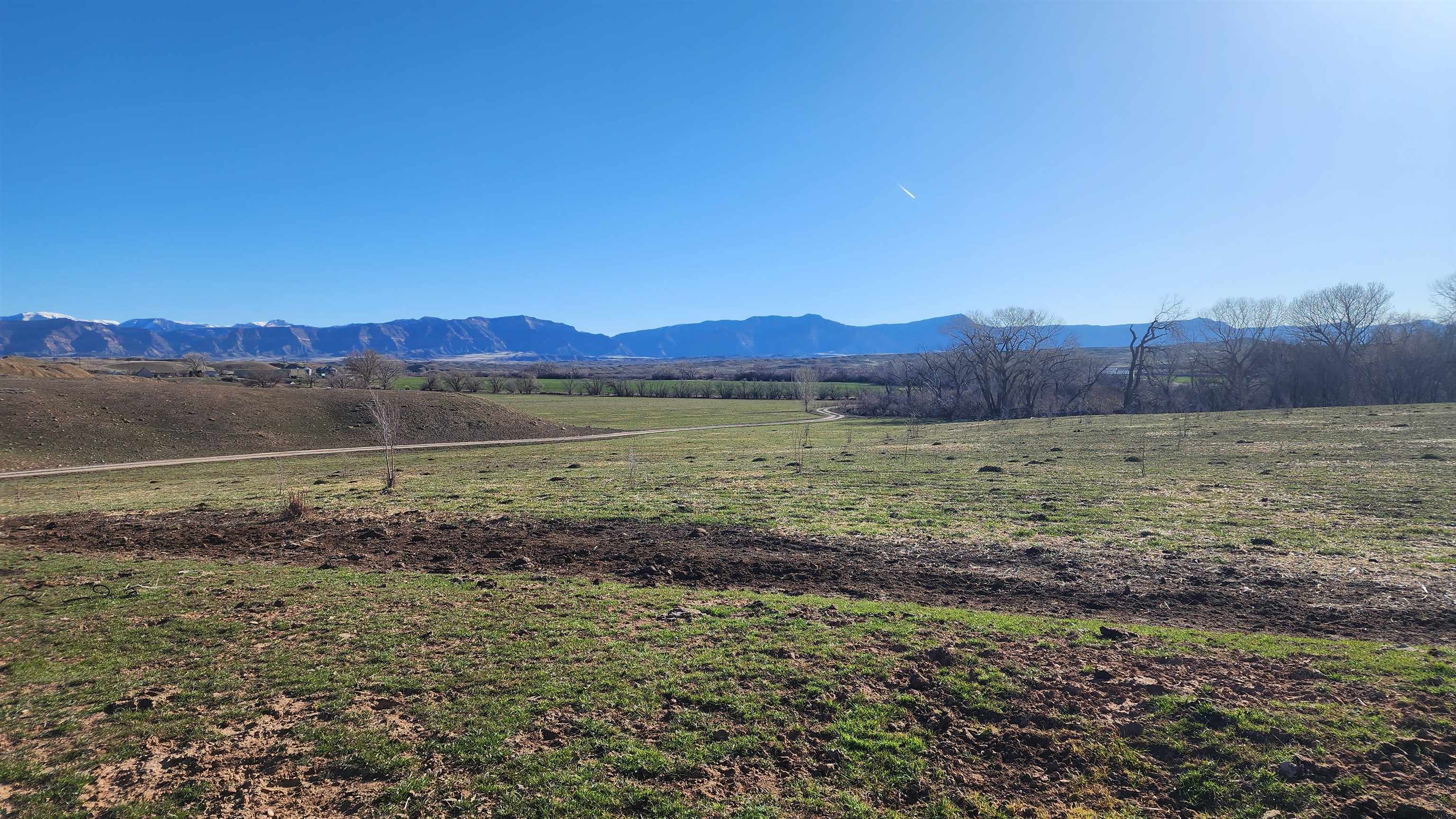 1585 19 Road Fruita, CO 81521 - Photo 4 of 9