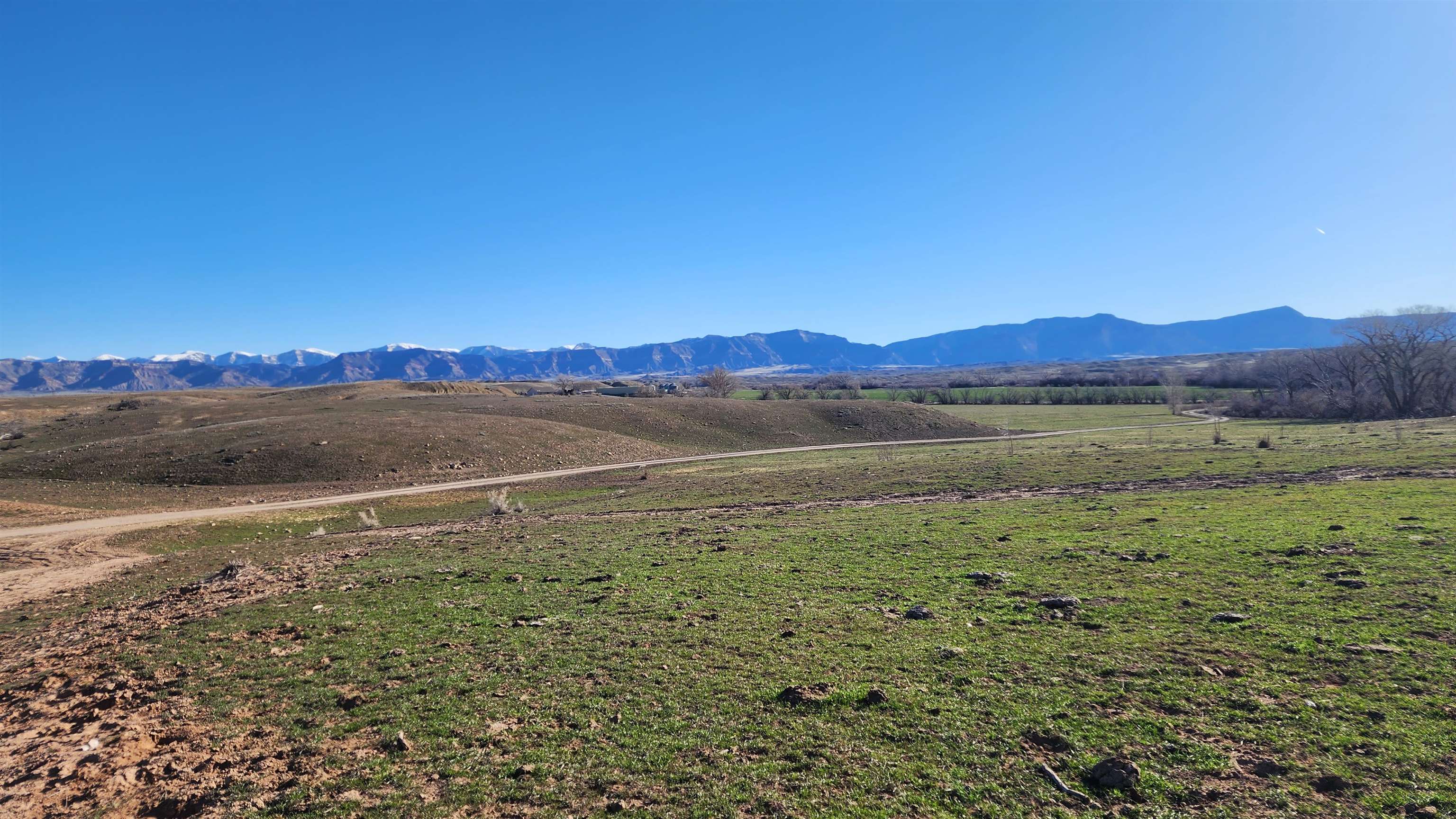 1585 19 Road Fruita, CO 81521 - Photo 6 of 9