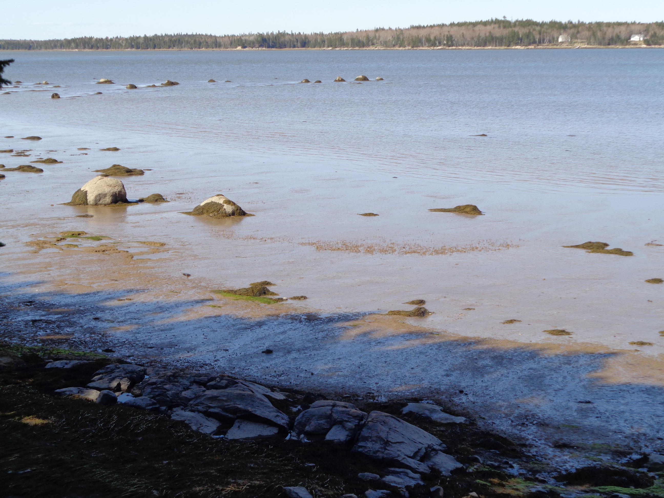 177 F Rays Point Road Milbridge, ME 04658 - Photo 11 of 14 DSC02942