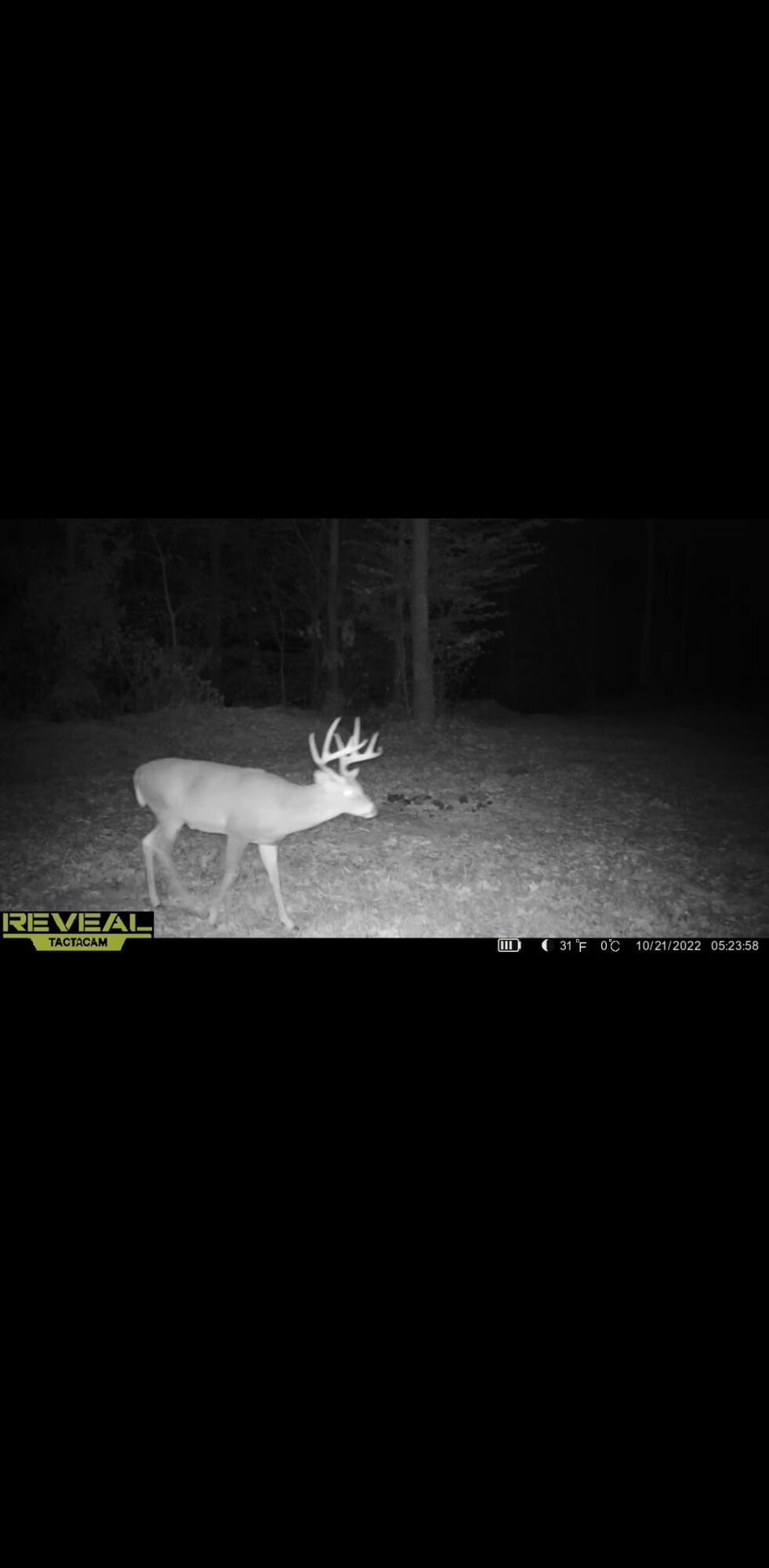 336 Big Branch Road Beattyville, KY 41311 - Photo 63 of 66 image_123650291 (3)