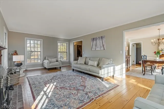 a living room with furniture and a couch