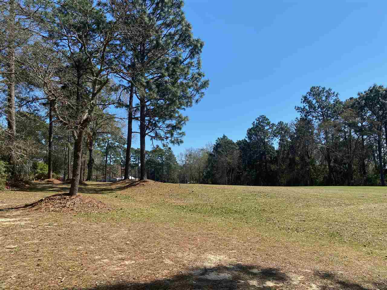 105 Laguna Circle Daphne, AL 36526 - Photo 4 of 5