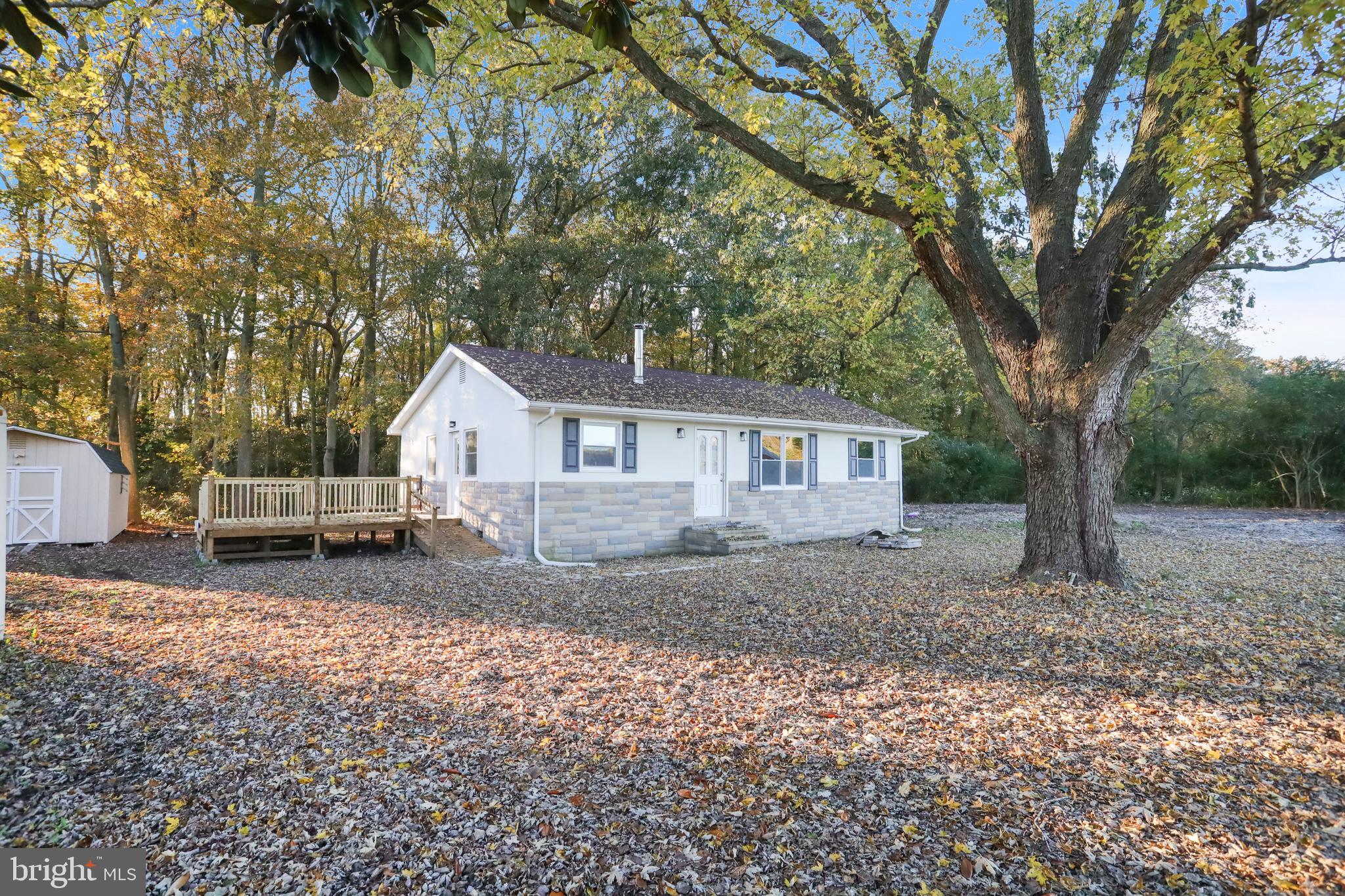 28154 Venton Road Princess Anne, MD 21853 - Photo 2 of 34 a view of a house with a yard