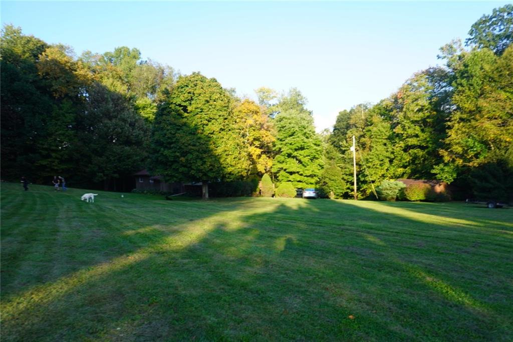 145 Coffman Road Acme, PA 15610 - Photo 34 of 37 a view of a grassy field with trees