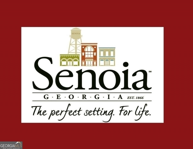 350 Werner Way Senoia, GA 30276 - Photo 88 of 88