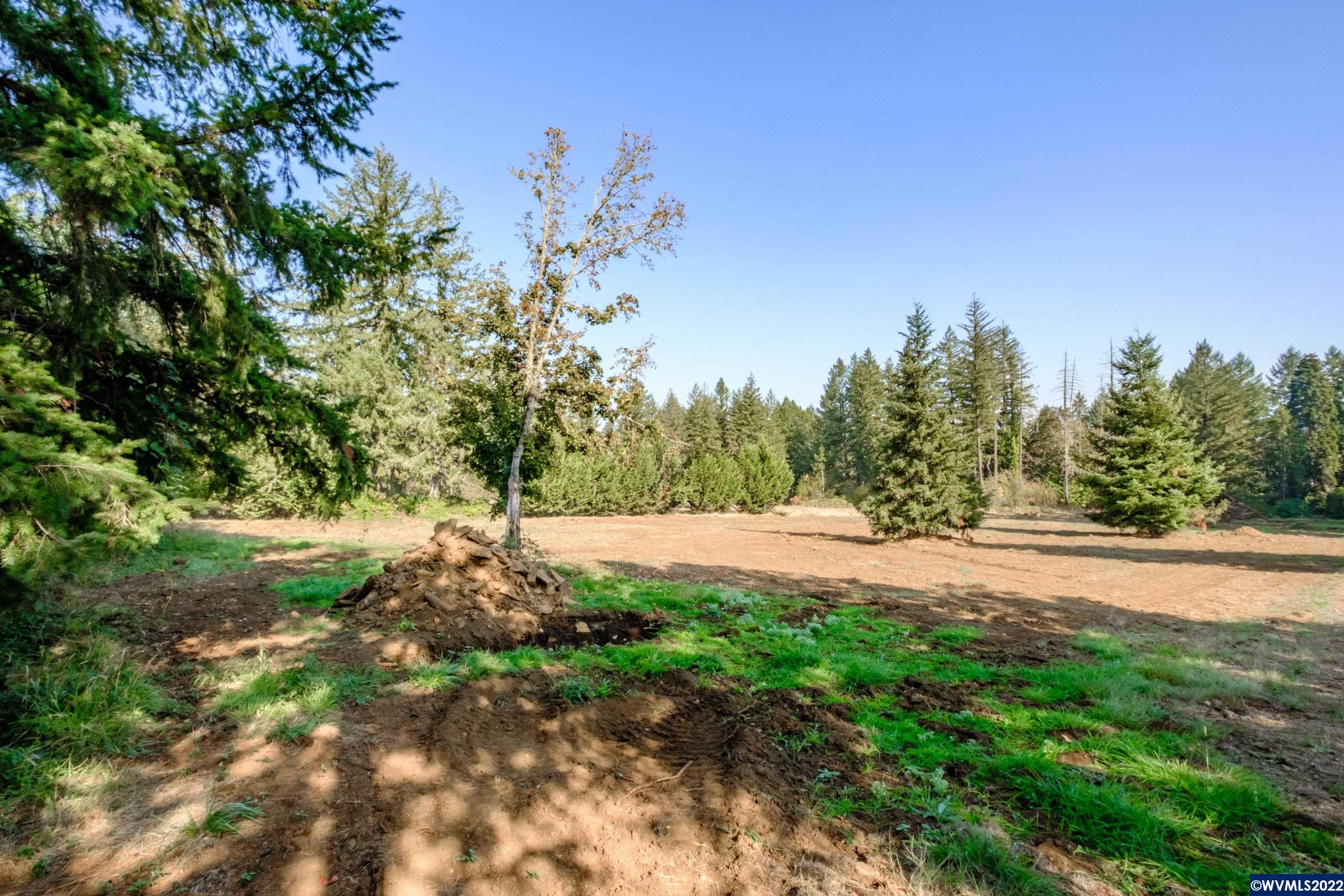 25668 Rice (parcel Road Sweet Home, OR 97386 - Photo 6 of 18