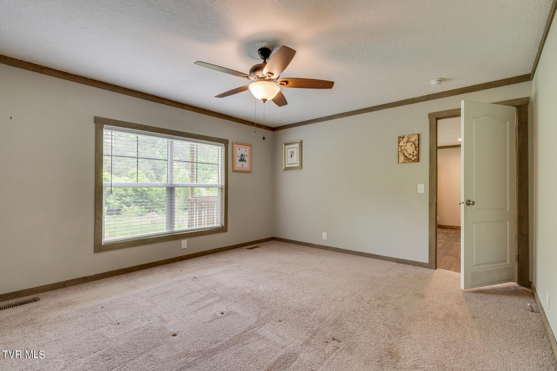 343 Butcher Valley Road Rogersville, TN 37857 - Photo 18 of 36 018