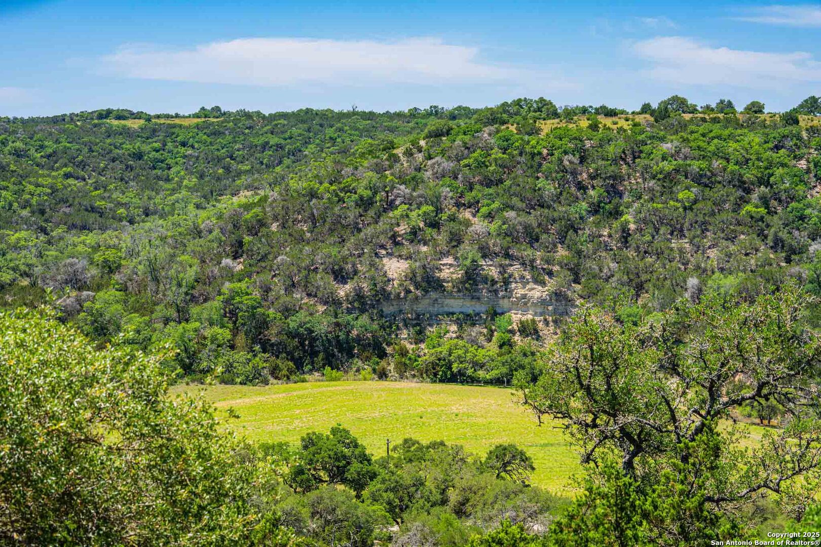 171 Flach Road Comfort, TX 78013 - Photo 16 of 91 a view of a large yard with lots of green space and house in the back