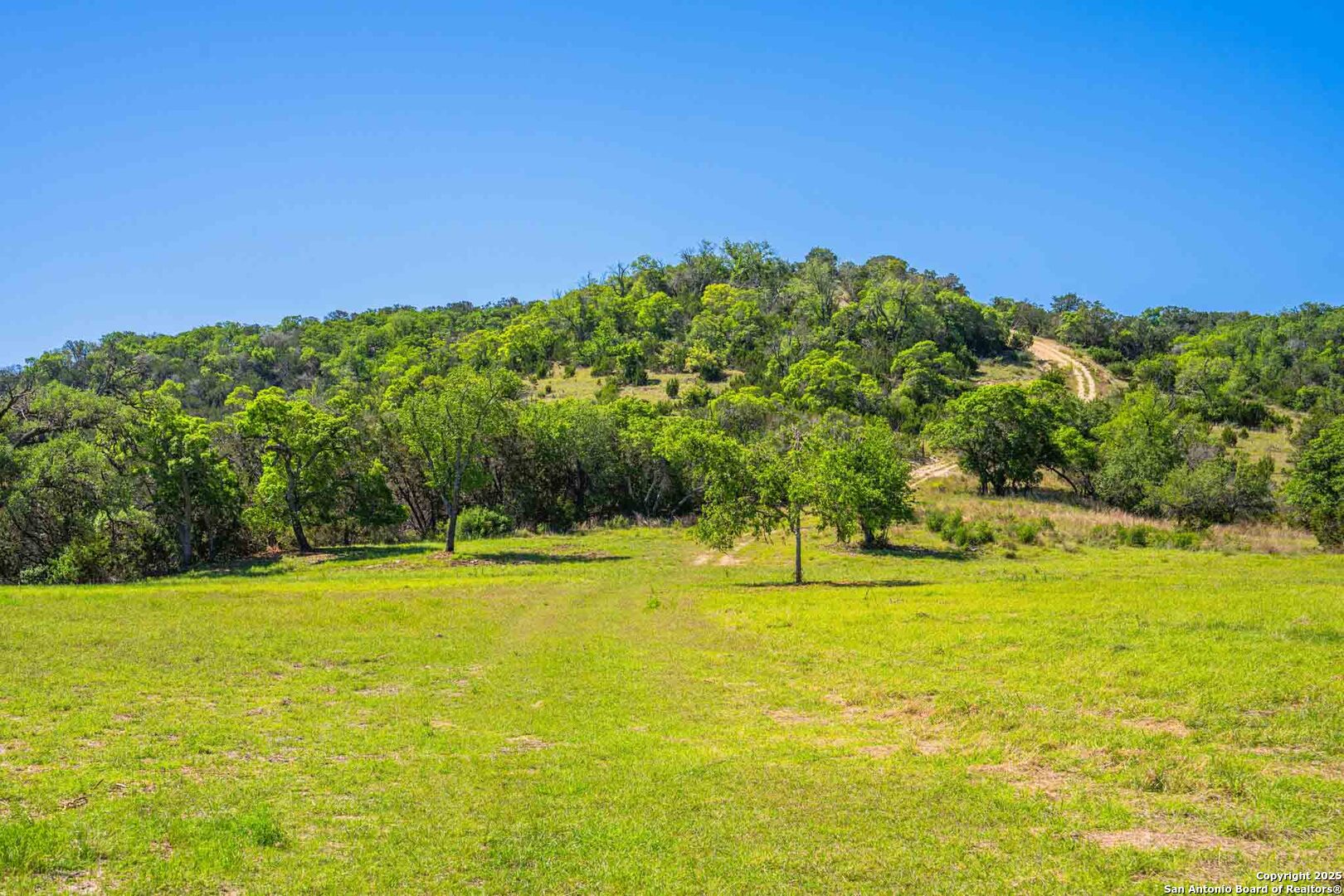 171 Flach Road Comfort, TX 78013 - Photo 21 of 91