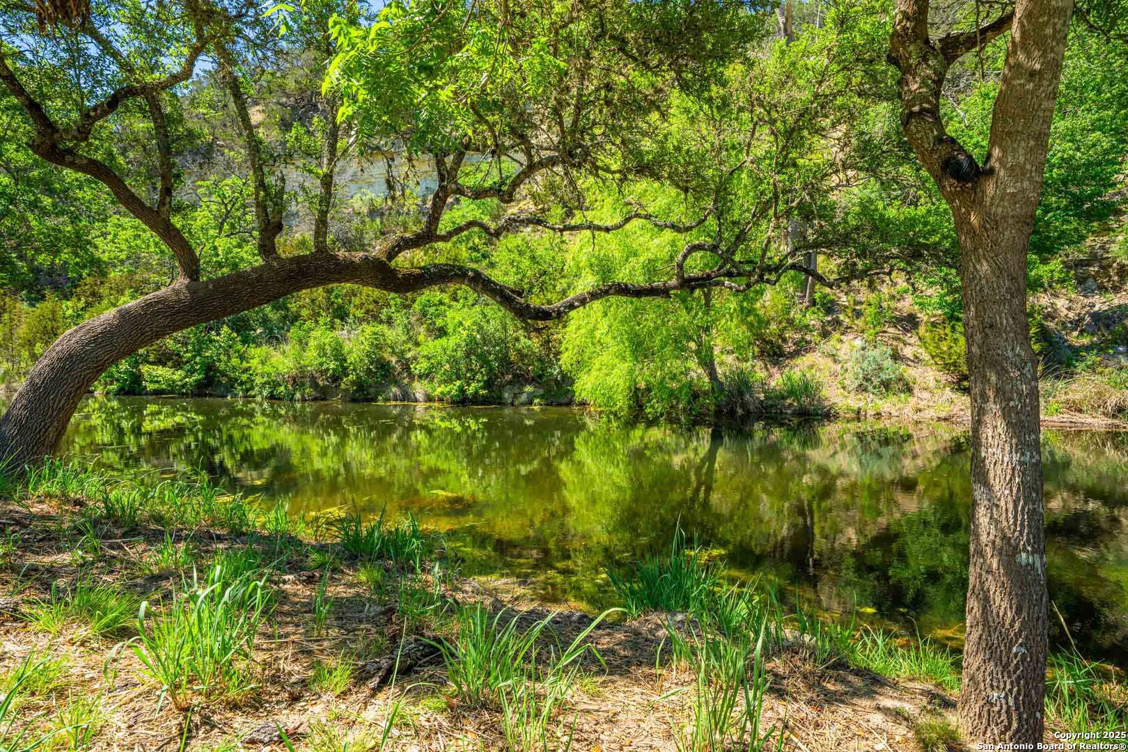 171 Flach Road Comfort, TX 78013 - Photo 55 of 91 a backyard of a house with lots of trees