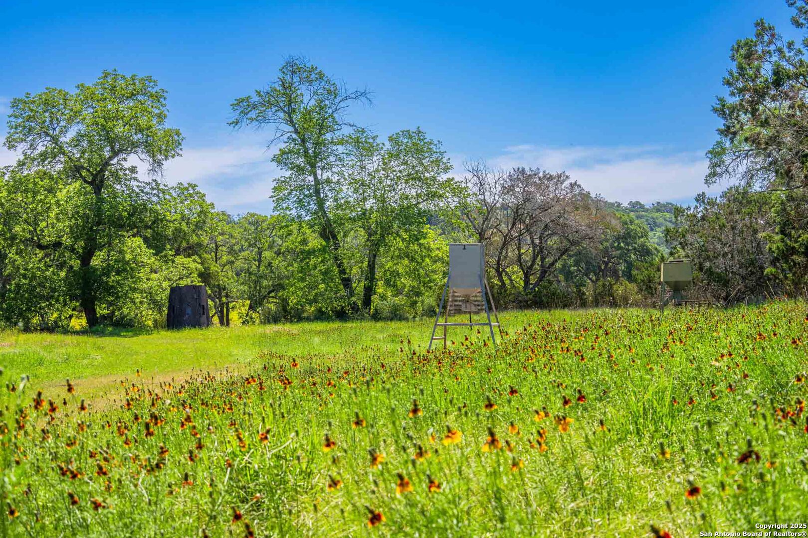171 Flach Road Comfort, TX 78013 - Photo 70 of 91 a view of a yard with a tree