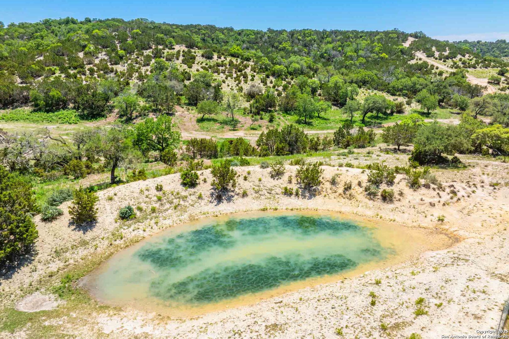 171 Flach Road Comfort, TX 78013 - Photo 76 of 91 a view of a yard with a garden
