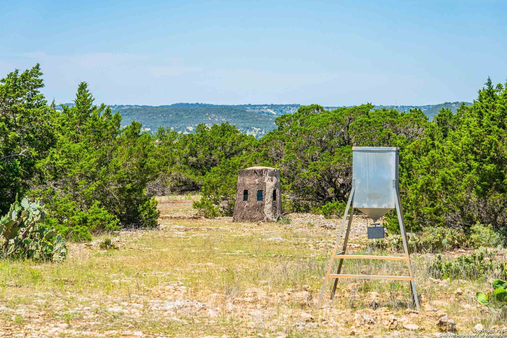 171 Flach Road Comfort, TX 78013 - Photo 80 of 91 a view of a swimming pool with a yard