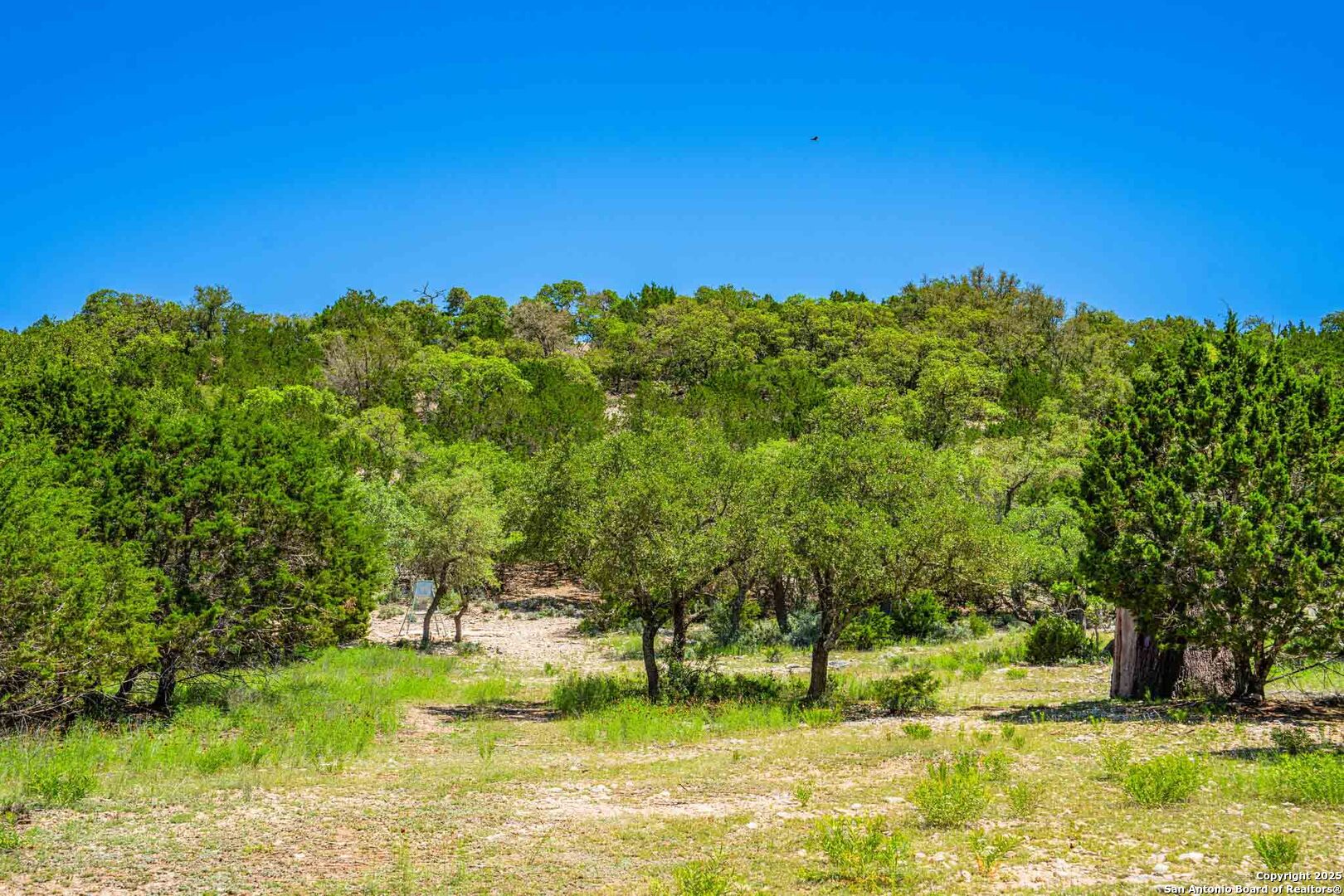 171 Flach Road Comfort, TX 78013 - Photo 82 of 91