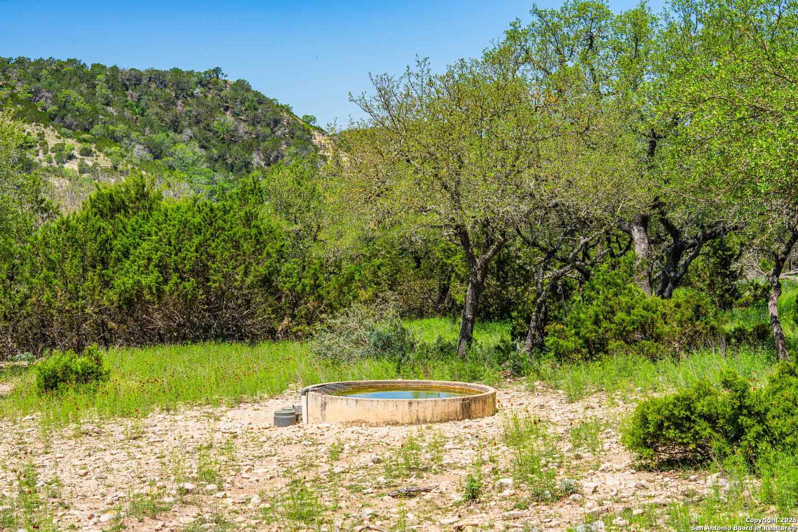 171 Flach Road Comfort, TX 78013 - Photo 84 of 91 a view of a garden with a lake