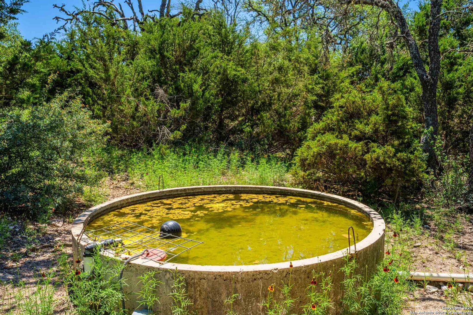 171 Flach Road Comfort, TX 78013 - Photo 85 of 91 a view of a swimming pool with a yard and large trees