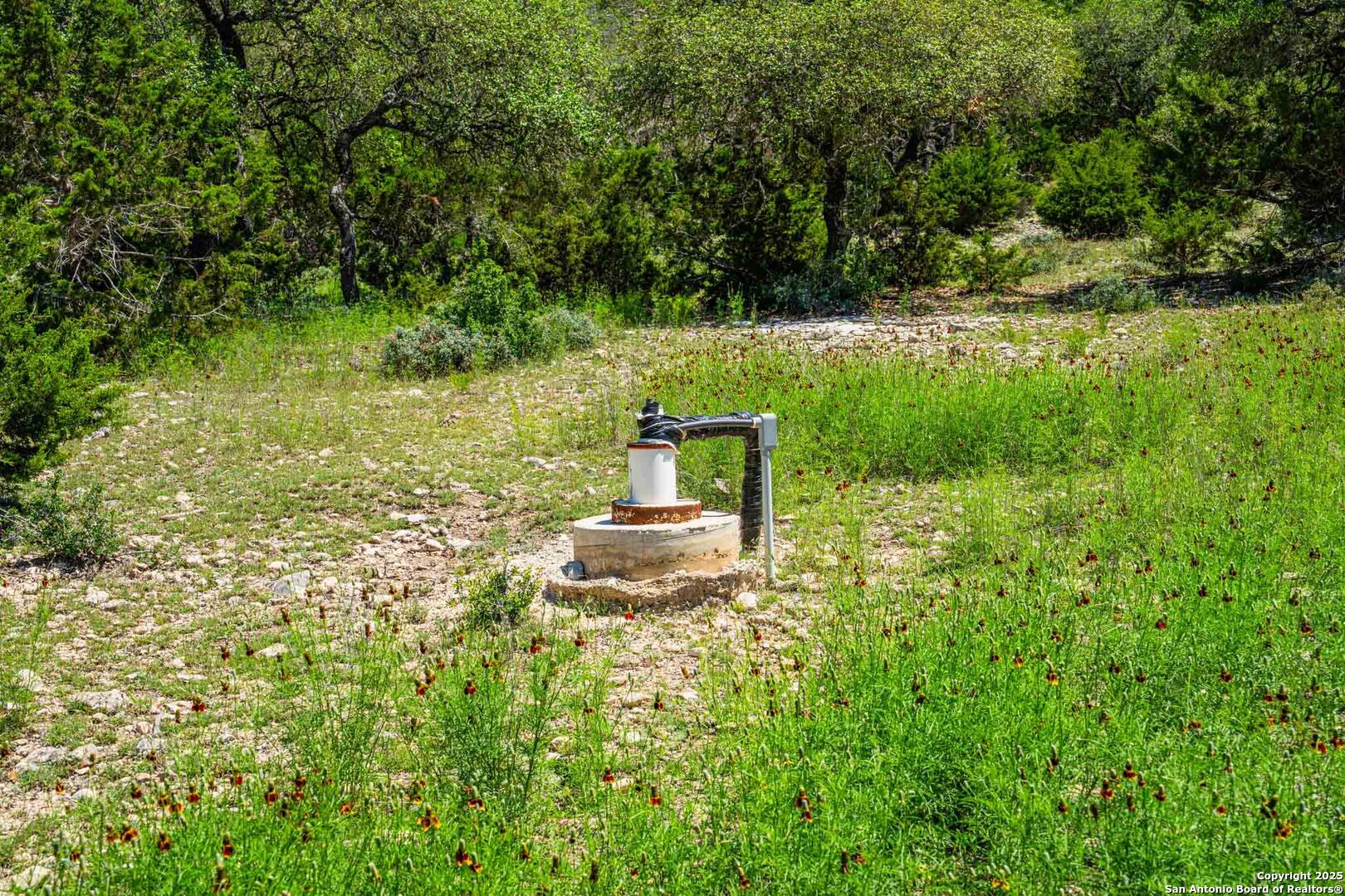 171 Flach Road Comfort, TX 78013 - Photo 88 of 91 a garden view