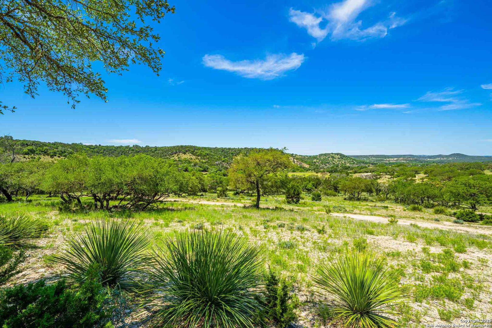 171 Flach Road Comfort, TX 78013 - Photo 89 of 91