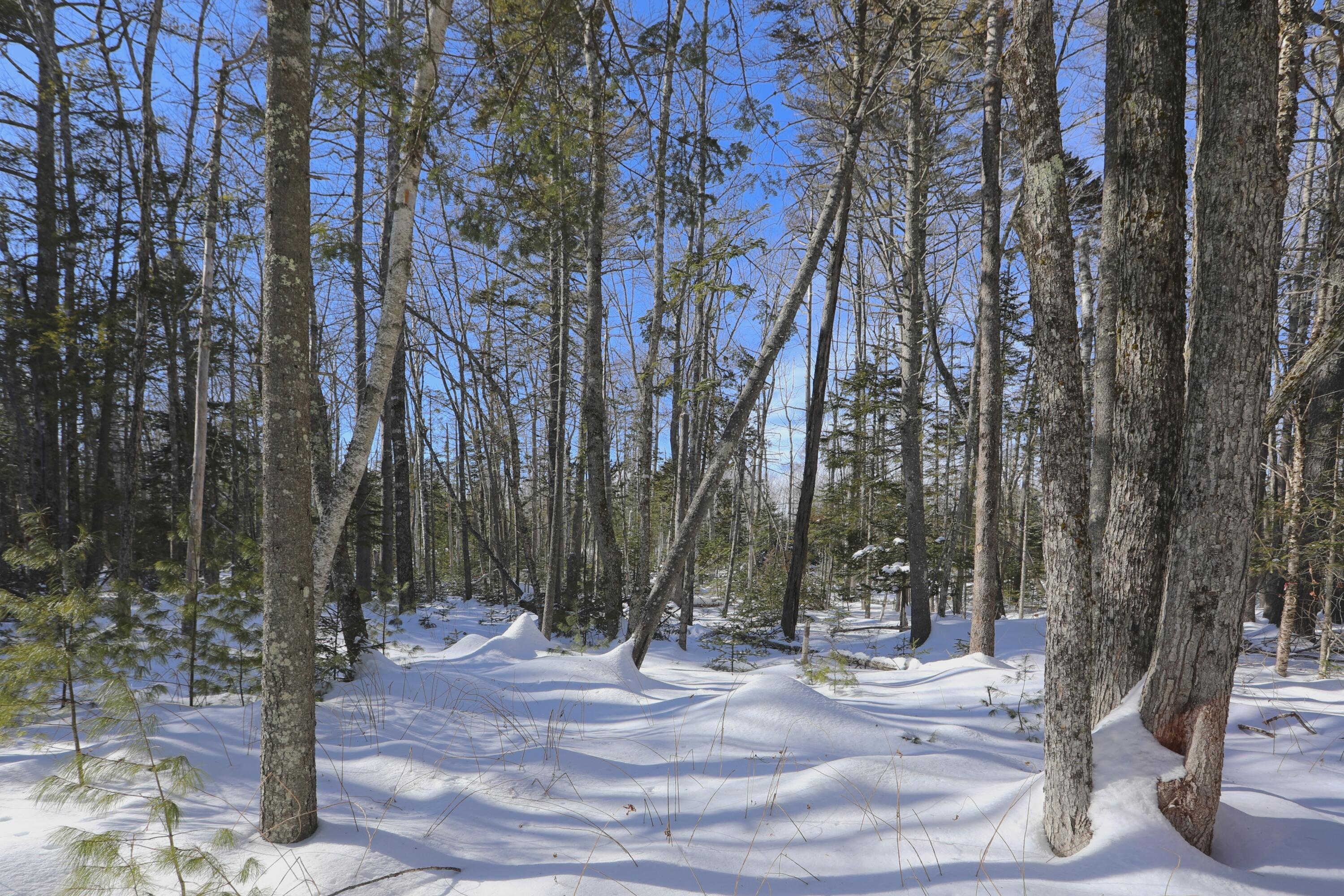 24 Slab City Road Lincolnville, ME 04849 - Photo 24 of 24 37- 24 Slab City Road - Lincolnville - J