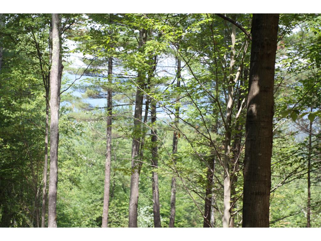 0 Tuttle Road Meredith, NH 03253 - Photo 22 of 31 Gallery Image 22