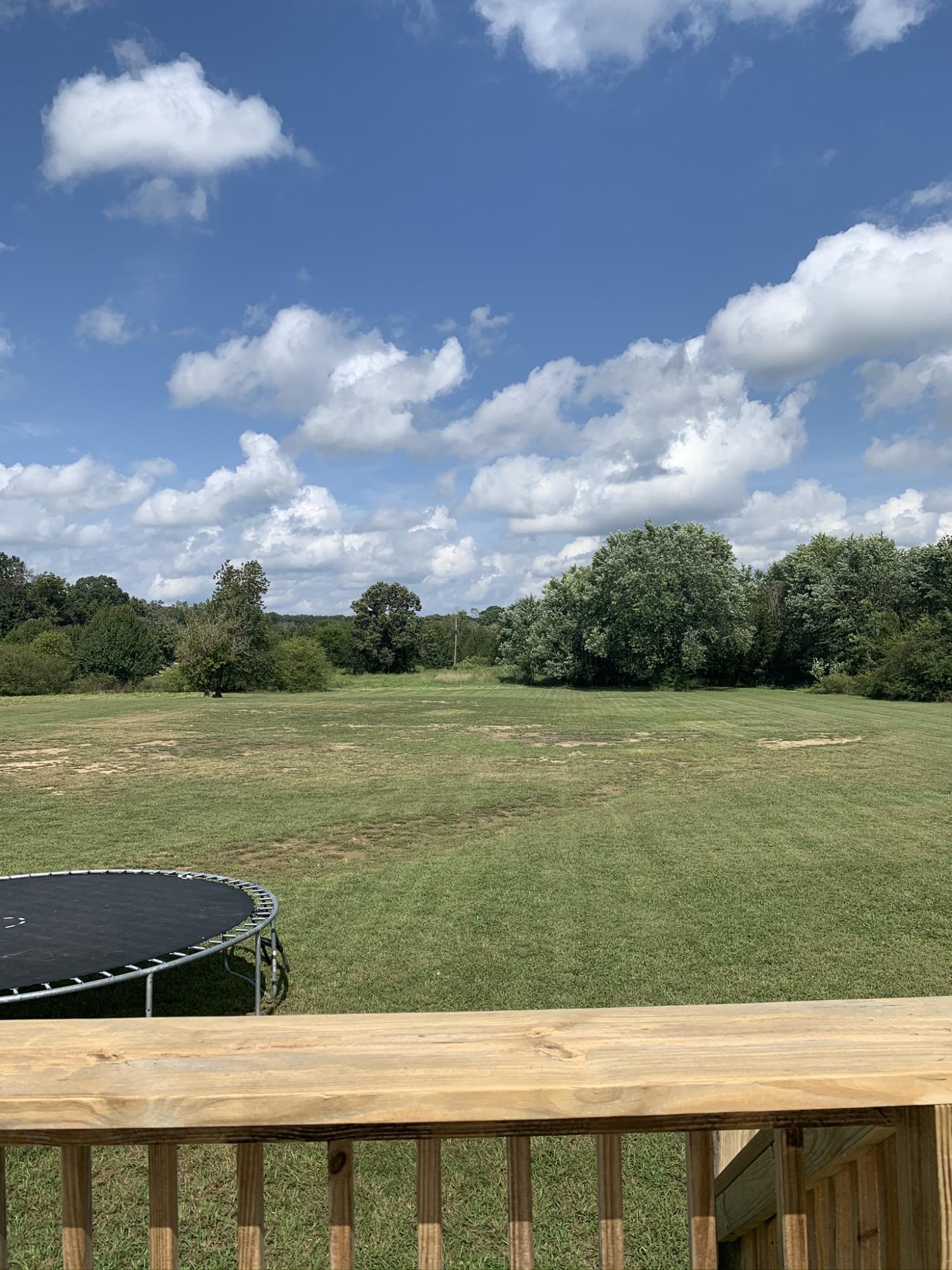 20168 Steekee Road Loudon, TN 37774 - Photo 33 of 35 38DDCF54-9C8D-4066-A366-F48C022C9F76