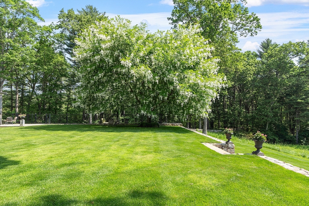76 Red Coat Lane Concord, MA 01742 - Photo 7 of 42 a view of a green field with a tree