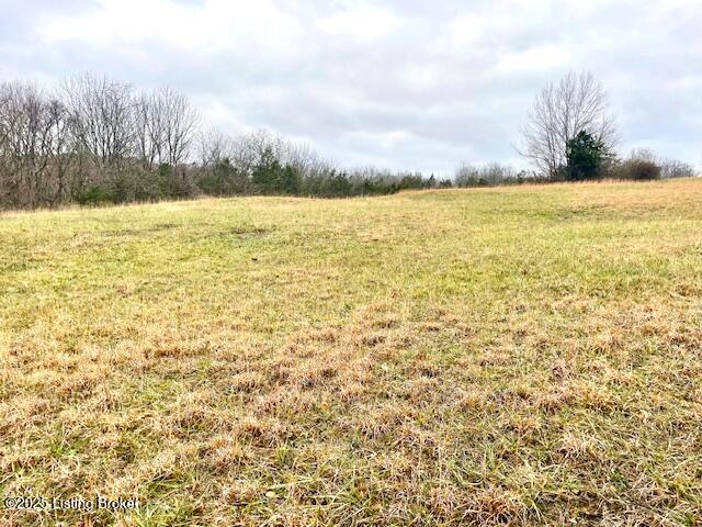 5 Timber Creek Road Bloomfield, KY 40008 - Photo 9 of 16 TC 5 Acres_8