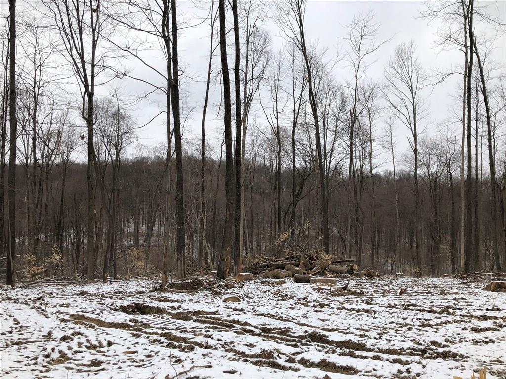 0 South Olive Church Road Paragon, IN 46166 - Photo 4 of 5
