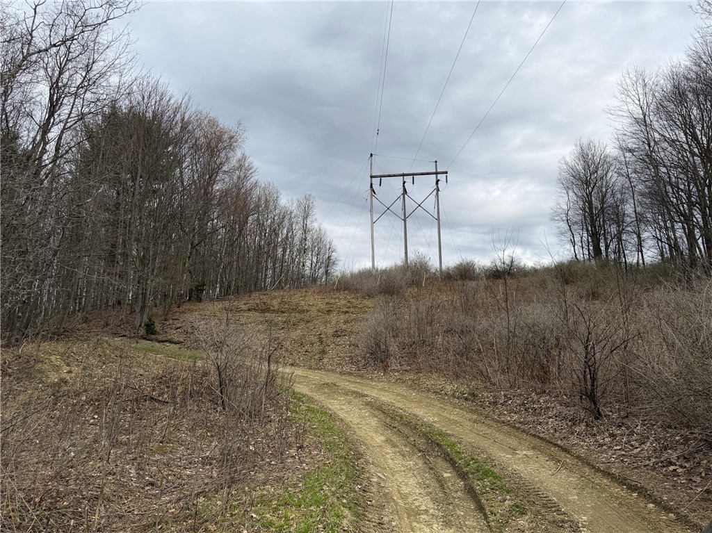Lot 7 Summit Road Cuba, NY 14727 - Photo 15 of 31